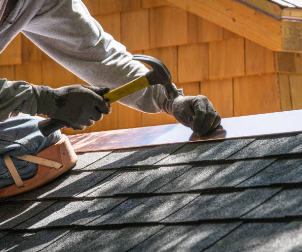 Best Roof Gutter Cleaning  in Dranesville, VA